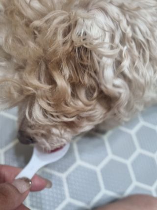 진쓰님이 올린 리뷰 사진 3
