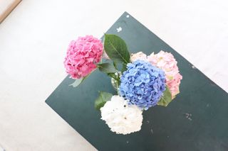 쩡이님이 올린 리뷰 사진 2