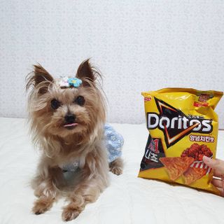 솜희님이 올린 리뷰 사진 2