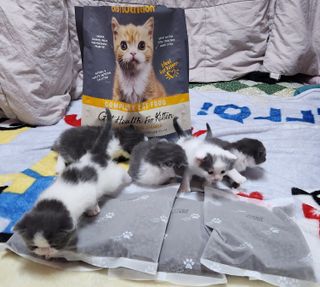 홍블리님이 올린 리뷰 사진 4