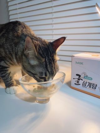 클로버님이 올린 리뷰 사진 3
