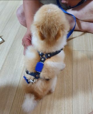 보미누나님이 올린 리뷰 사진 2