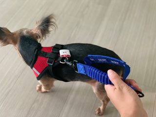 kkyubebe님이 올린 리뷰 사진 1