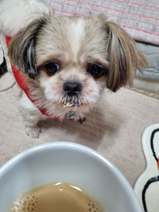 clarawon님이 올린 리뷰 사진 4