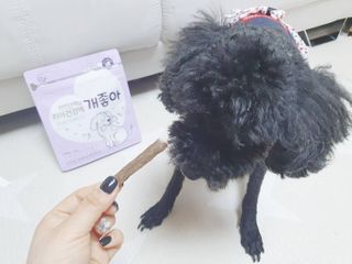 My Pet Care 천연단백질 치아건강에 개좋아 — 5점을 준 리뷰어가 2021년 2월 올린 사용 사진