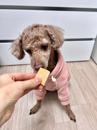 랑랑이1님이 올린 리뷰 사진 2