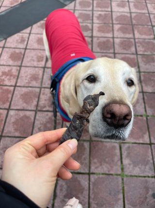 두치뿌꾸빵빵님이 올린 리뷰 사진 4