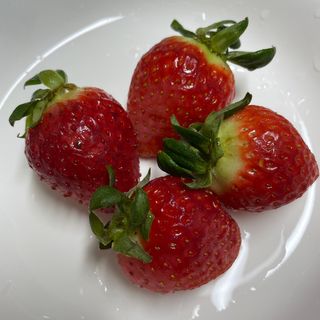 옳음 딸기 논산 설향 딸기 900g 산지직송 — 5점을 준 리뷰어가 2021년 1월 올린 사용 사진