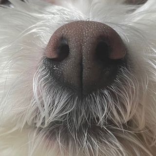 행복한최슨생님이 올린 리뷰 사진 3