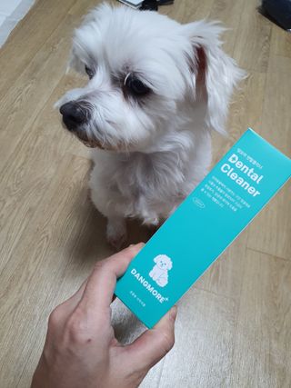 [댕모어 클리너 3종] 아이클리너 / 이어클리너 / 덴탈클리너 3종 세트 (120ml) — 5점을 준 리뷰어가 2023년 11월 올린 사용 사진