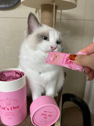 ccoyo님이 올린 리뷰 사진 3