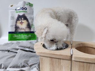 워리네님이 올린 리뷰 사진 4