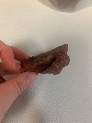 [졸리졸리]말 폐(HORSE LUNG) — 5점을 준 리뷰어가 2023년 2월 올린 사용 사진
