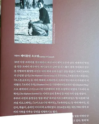 고은아이 릴리🌸님이 올린 리뷰 사진 2