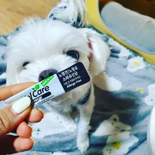 뿌꾸님이 올린 리뷰 사진 2