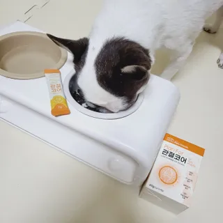 mini unni님이 올린 리뷰 사진 4
