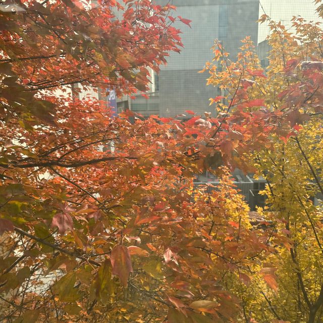 핵산 워터밤 아쿠아 썬젤 리뷰 사진