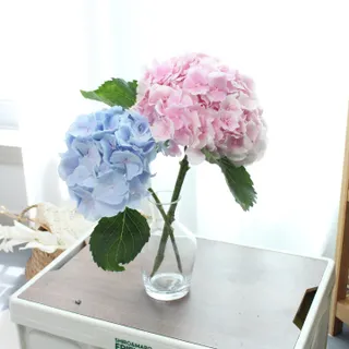 큐빅짱님이 올린 리뷰 사진 3