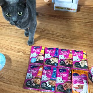 비타크래프트 포에시 델리스 고양이 파우치 85g 9가지맛 1팩씩 — 5점을 준 리뷰어가 2021년 8월 올린 사용 사진