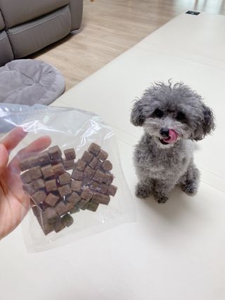 My Pet Care 천연단백질 관절건강에 개좋아 — 5점을 준 리뷰어가 2021년 2월 올린 사용 사진