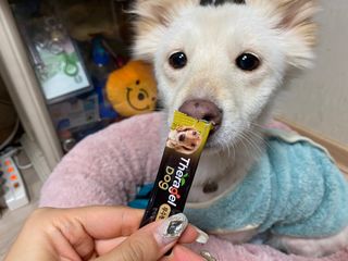 민홀리님이 올린 리뷰 사진 2
