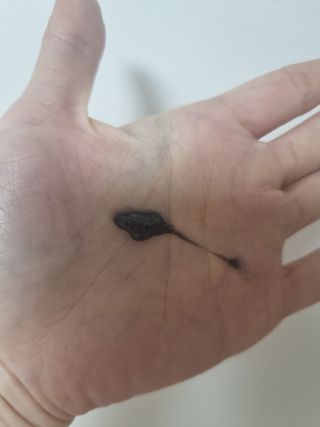 순둡님이 올린 리뷰 사진 3