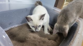 김주사랑님이 올린 리뷰 사진 4