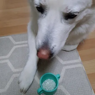 딸랑구둘🥰님이 올린 리뷰 사진 4