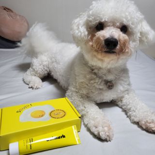 다소me님이 올린 리뷰 사진 2