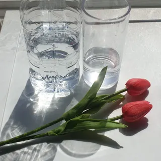 BlossomY님이 올린 리뷰 사진 3