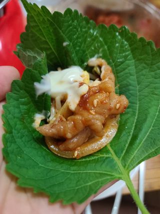 불타 호랑이 닭발 250g — 5점을 준 리뷰어가 2021년 7월 올린 사용 사진