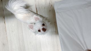 요블리님이 올린 리뷰 사진 2