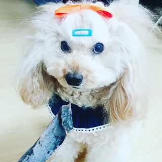코코님이 올린 리뷰 사진 4