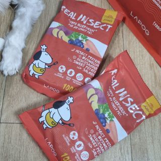 [푸디웜] 라포그  리얼인섹트 관절 저알러지 강아지 사료  1.2KG — 5점을 준 리뷰어가 2022년 8월 올린 사용 사진
