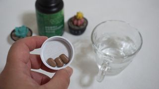 슬림플래닛 녹차카테킨 500mg 애프터밀 — 4.5점을 준 리뷰어가 2021년 8월 올린 사용 사진