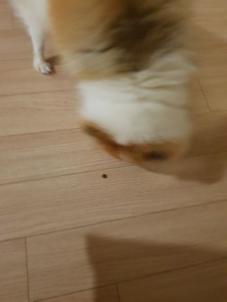 이긍정님이 올린 리뷰 사진 1