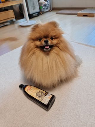 아롱이님이 올린 리뷰 사진 3