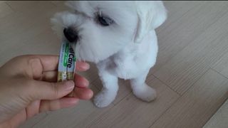 쏘이님이 올린 리뷰 사진 1