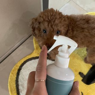 투밍님이 올린 리뷰 사진 3