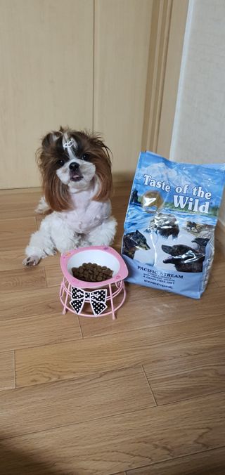 루이비똥💩님이 올린 리뷰 사진 1