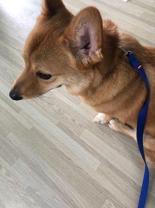 잘되길바래솔이님이 올린 리뷰 사진 4