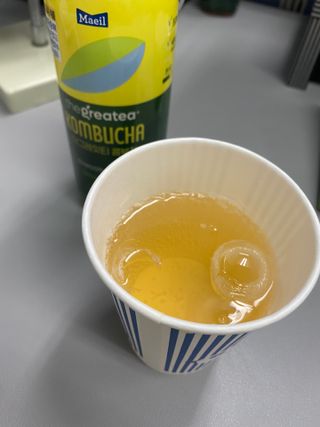 더그레잇티 콤부차 300ml *12개입 (오리지널 6개+베리리치 6개) — 5점을 준 리뷰어가 2022년 7월 올린 사용 사진