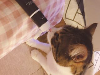 Hpy님이 올린 리뷰 사진 3