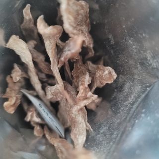 나초단맘님이 올린 리뷰 사진 4