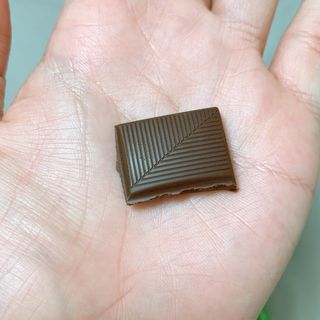 당류2g 자일리톨로 단맛을낸 슈카 퓨어비건 무설탕초콜릿 Xucker vegan 2개입 — 5점을 준 리뷰어가 2021년 4월 올린 사용 사진