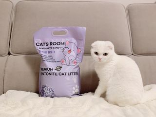 겟플렉스 켓플렉스 캣츠룸BS-1 고양이모래 4kg — 4점을 준 리뷰어가 2021년 3월 올린 사용 사진