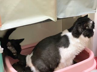 햇태야요님이 올린 리뷰 사진 2