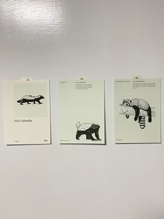 빛나는늘봄님이 올린 리뷰 사진 4