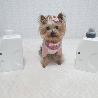 솜희님이 올린 리뷰 사진 3