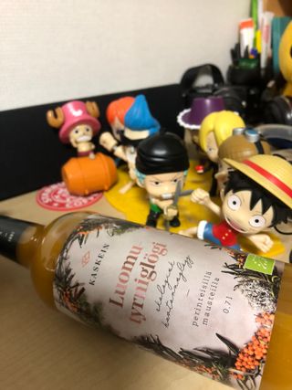 H365 [Kaskein Luomutyrniglögi] 핀란드 전통 무알콜 멀드와인 시벅톤 글로기 — 5점을 준 리뷰어가 2021년 5월 올린 사용 사진
